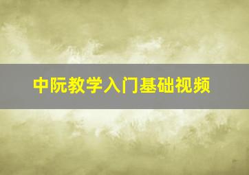 中阮教学入门基础视频