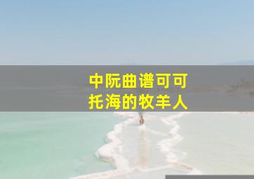 中阮曲谱可可托海的牧羊人