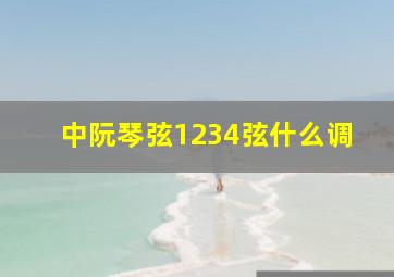 中阮琴弦1234弦什么调