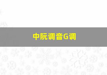 中阮调音G调