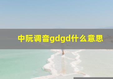 中阮调音gdgd什么意思