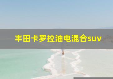 丰田卡罗拉油电混合suv