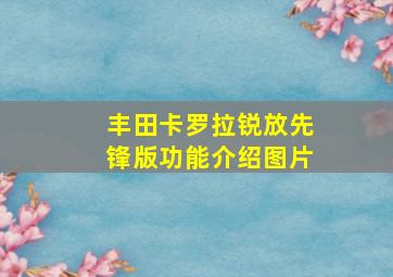 丰田卡罗拉锐放先锋版功能介绍图片