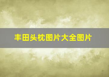 丰田头枕图片大全图片