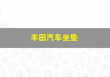 丰田汽车坐垫