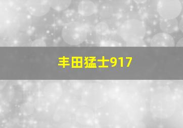 丰田猛士917