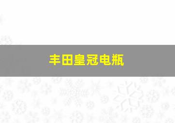 丰田皇冠电瓶