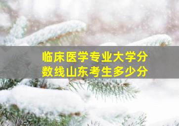 临床医学专业大学分数线山东考生多少分