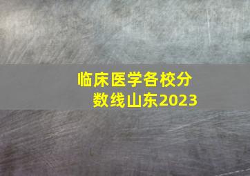 临床医学各校分数线山东2023