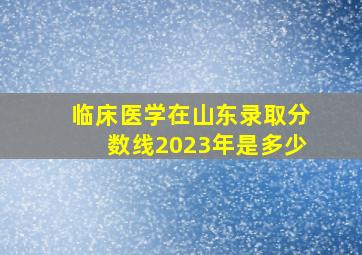 临床医学在山东录取分数线2023年是多少