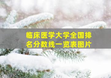 临床医学大学全国排名分数线一览表图片