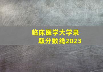 临床医学大学录取分数线2023