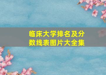 临床大学排名及分数线表图片大全集