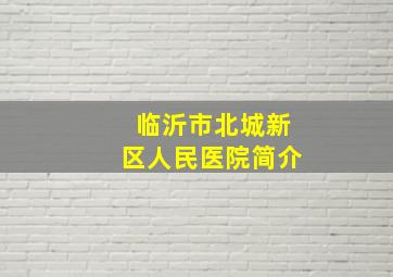 临沂市北城新区人民医院简介