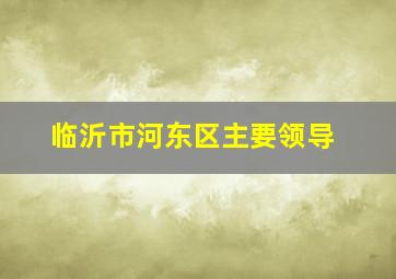 临沂市河东区主要领导