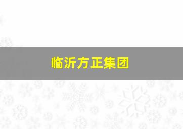 临沂方正集团