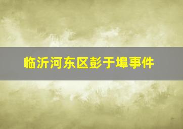 临沂河东区彭于埠事件