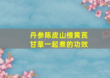 丹参陈皮山楂黄芪甘草一起煮的功效