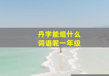 丹字能组什么词语呢一年级