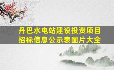 丹巴水电站建设投资项目招标信息公示表图片大全