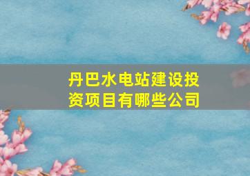 丹巴水电站建设投资项目有哪些公司