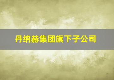 丹纳赫集团旗下子公司