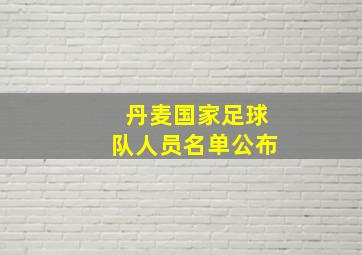 丹麦国家足球队人员名单公布