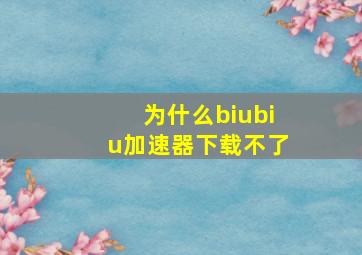 为什么biubiu加速器下载不了