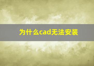 为什么cad无法安装