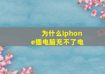 为什么iphone插电脑充不了电