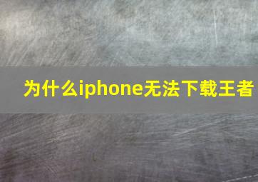 为什么iphone无法下载王者