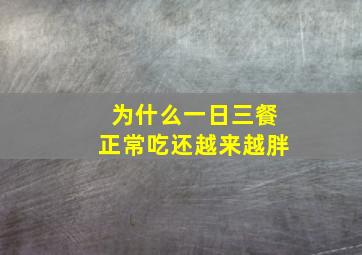 为什么一日三餐正常吃还越来越胖