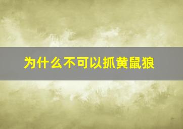 为什么不可以抓黄鼠狼