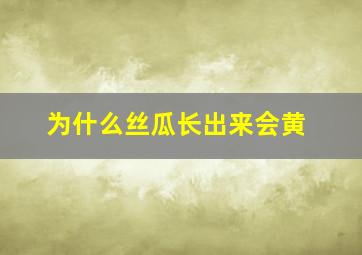 为什么丝瓜长出来会黄