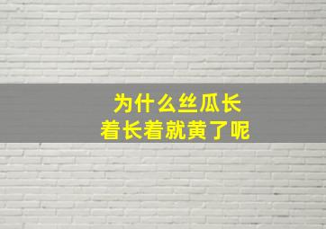 为什么丝瓜长着长着就黄了呢