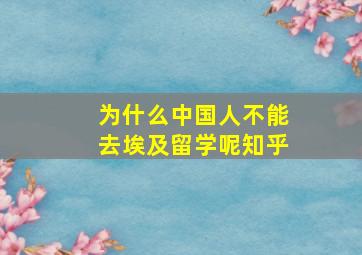 为什么中国人不能去埃及留学呢知乎