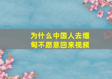 为什么中国人去缅甸不愿意回来视频