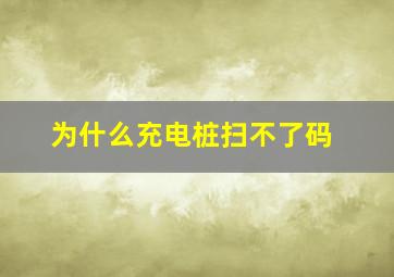 为什么充电桩扫不了码