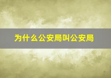 为什么公安局叫公安局