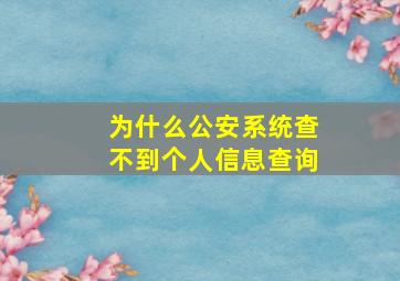 为什么公安系统查不到个人信息查询