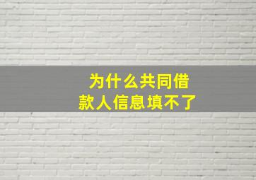 为什么共同借款人信息填不了