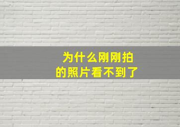 为什么刚刚拍的照片看不到了