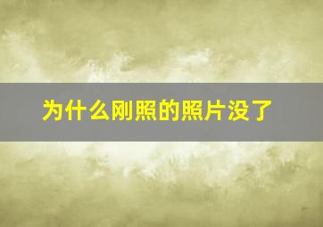 为什么刚照的照片没了