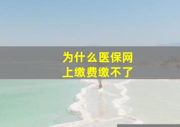 为什么医保网上缴费缴不了