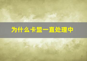 为什么卡盟一直处理中