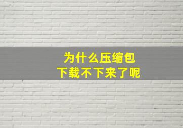 为什么压缩包下载不下来了呢