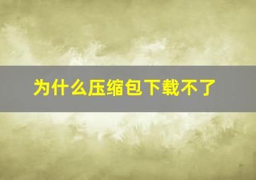 为什么压缩包下载不了