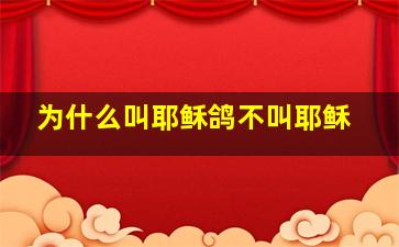 为什么叫耶稣鸽不叫耶稣