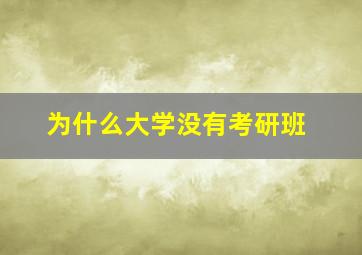 为什么大学没有考研班