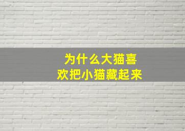 为什么大猫喜欢把小猫藏起来